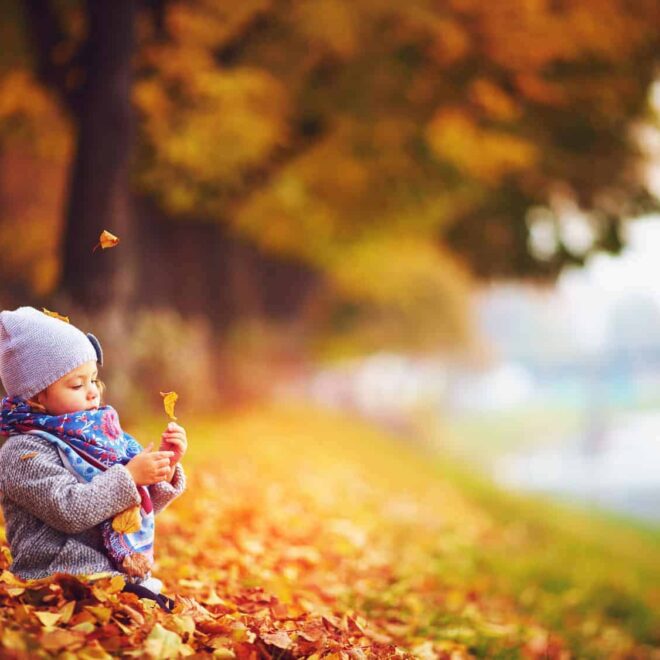 Der Herbst kommt: Die Natur als Lernraum für Kinder