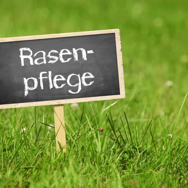 Rasenpflege im Frühjahr: so wird der Rasen schnell wieder fit!