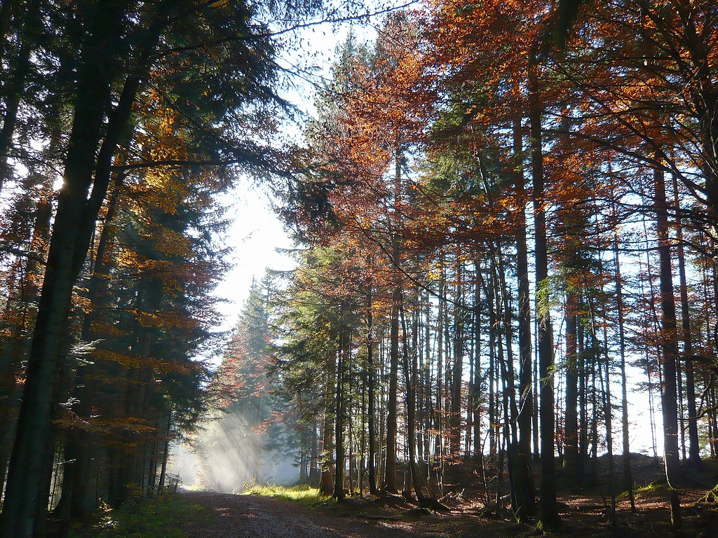 Mystische Wanderungen in Oberbayern